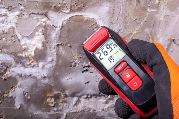Best Same-Day Mold Removal  in Martinsville, NJ