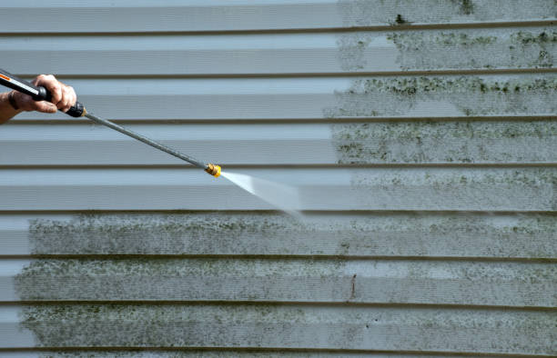 Best Certified Mold Removal  in Martinsville, NJ