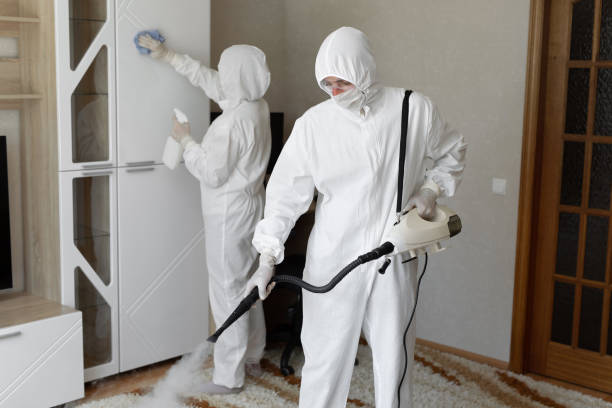 Best Mold Cleaning Services  in Martinsville, NJ