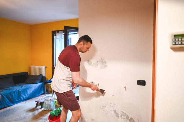 Best Attic Mold Removal  in Martinsville, NJ