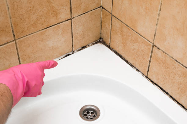 Best Mold Testing  in Martinsville, NJ